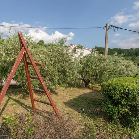 1 Bedroom Amazing In Secovlje